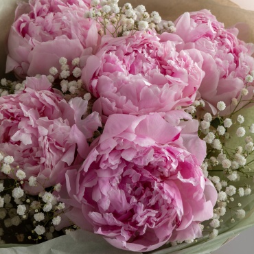 Фото 3