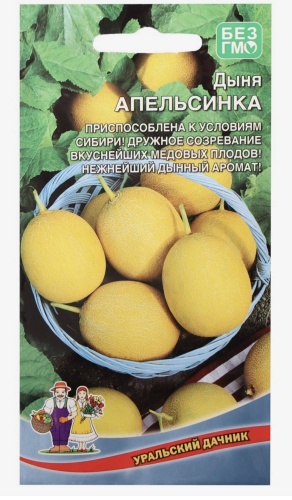 Уральский дачник дыня АПЕЛЬСИНКА