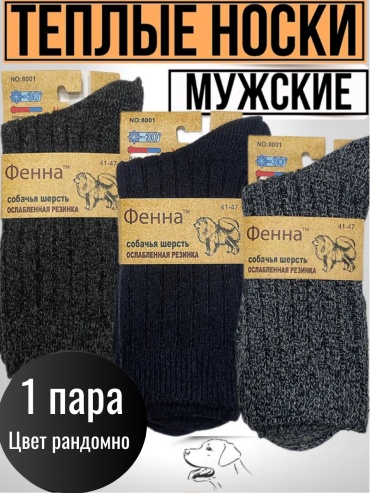 Носки Фенна 1 пара мультиколор 41-47