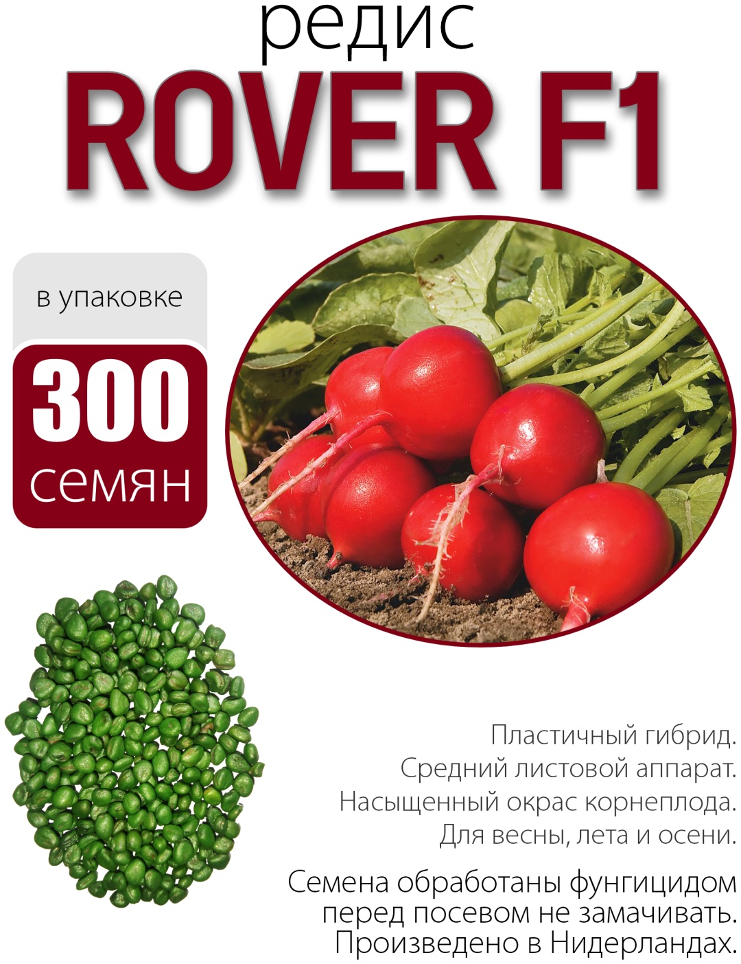 Голландские семена редис Rover F1