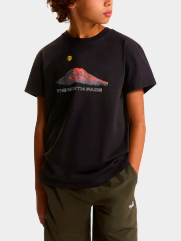 Футболка The North Face черный