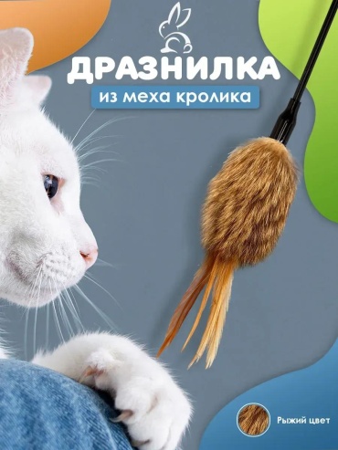 Дразнилка для самостоятельных игр перо