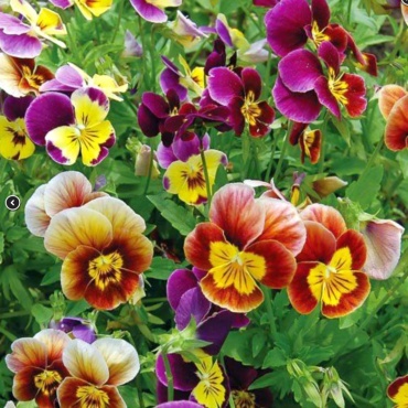Фото 3