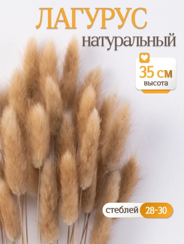 Букет из сухоцветов 30 см
