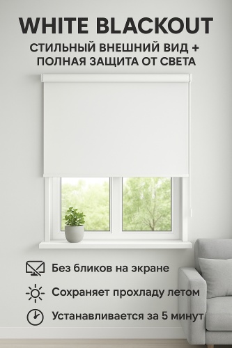 Ролл-шторы 24 2077 белый 100x160 см