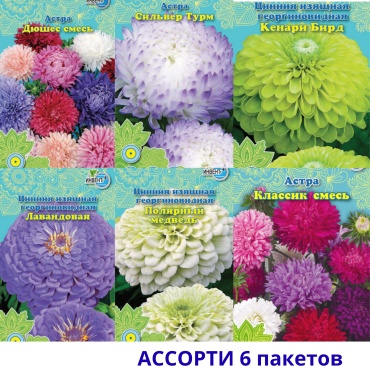 ИНВЕНТ+ астра набор "Яркий карнавал" 6 пачек