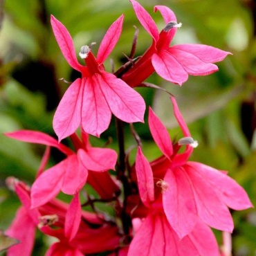Фото 3