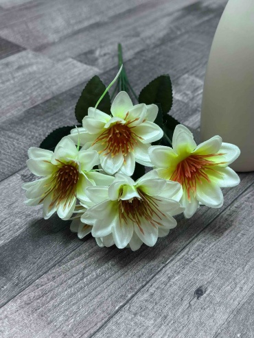 Фото 2
