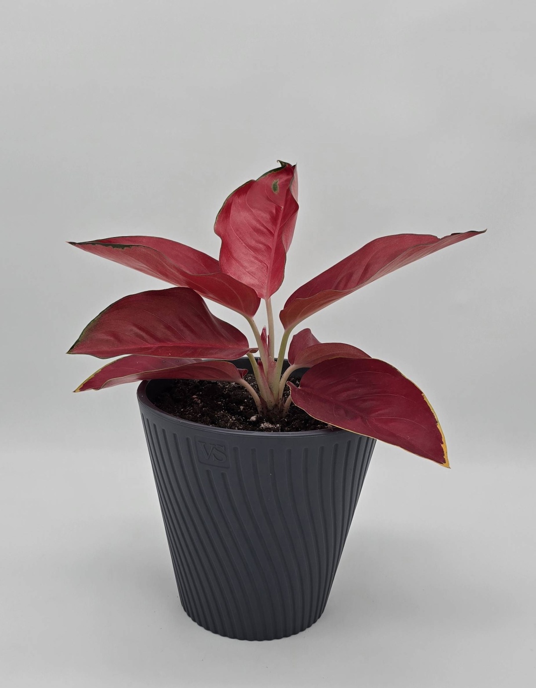 Фото 4