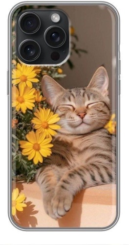 Чехол BAIKO для Apple iPhone 11 Pro Max рисунок