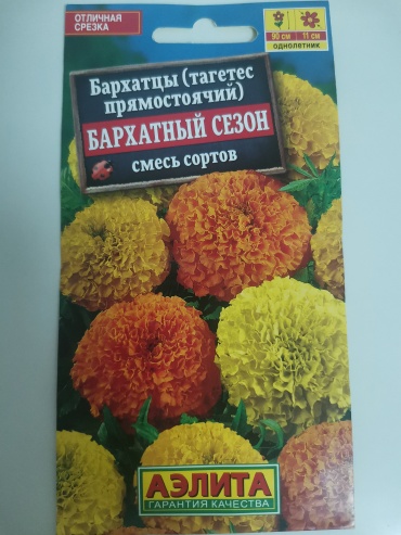 Аэлита бархатцы Бархатный сезон смесь сортов