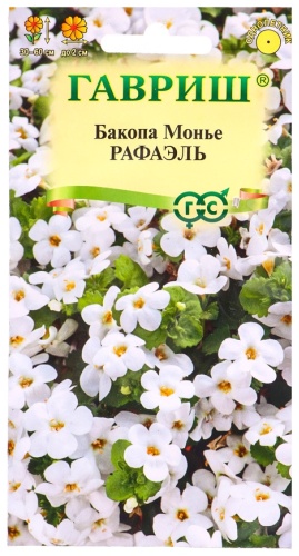 Гавриш бакопа Рафаэль