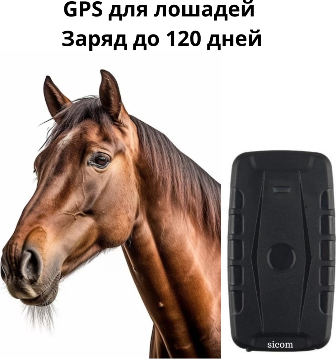 Лесбиянка және гей порно видео Порно жұлдыздарды анальды секске дайындау