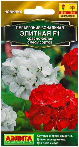 Аэлита пеларгония Элитная