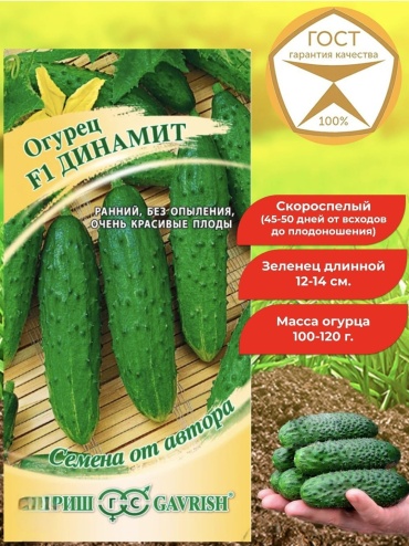 4season огурец Динамит