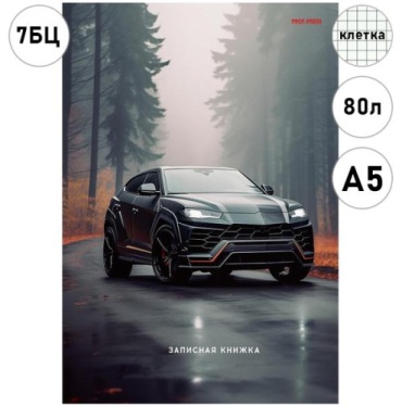 Записная книжка Проф-Пресс ЧЁРНЫЙ АВТОМОБИЛЬ, A5, 80 л, мультиколор