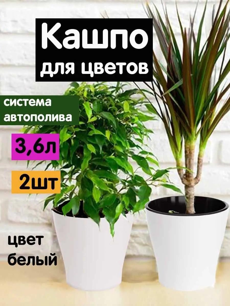Горшок для дома , пластик