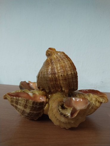 Фото 3