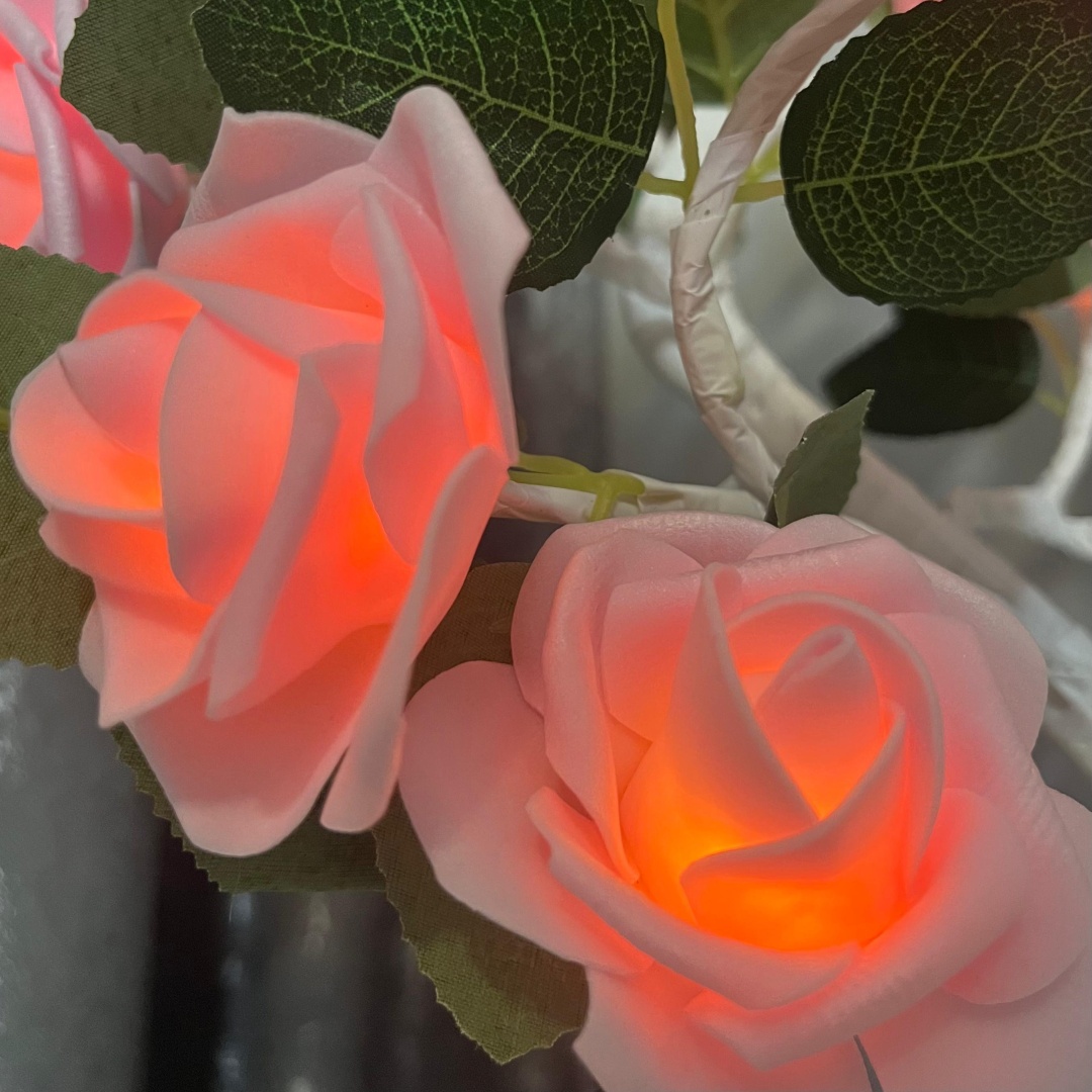 Фото 3
