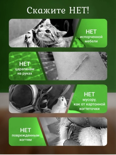 Фото 4