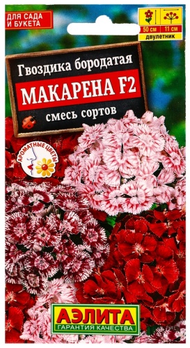 Аэлита гвоздика Макарена F2