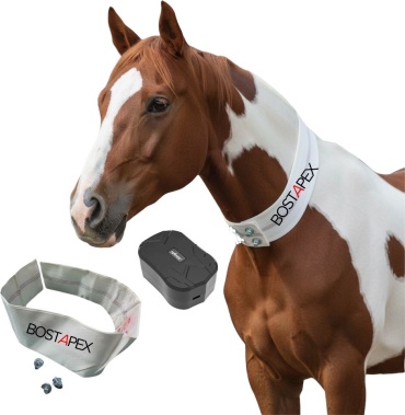 BOSTAPEX GPS-трекер, вид животного: лошади, КРС