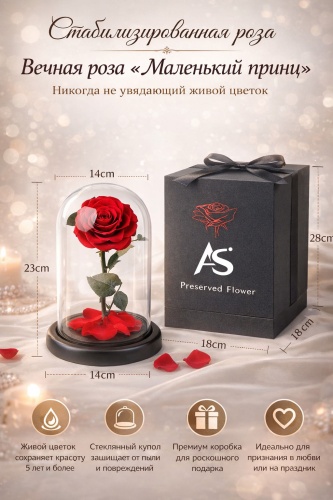 Роза 23 см