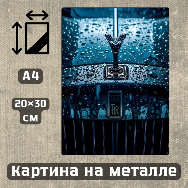 Sequoia VERS картина Картина на металле а4 Современный стиль Арт-тема 20*30см 20x30 см