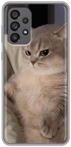 Чехол BAIKO для Samsung Galaxy A73 рисунок