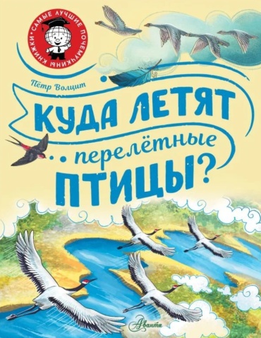 Петр Волцит: "Куда летят птицы"