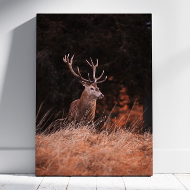 PEMIKAN CRAFT картина Олень на лугу 60x80 см