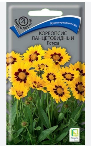 Поиск кореопсис Потеха