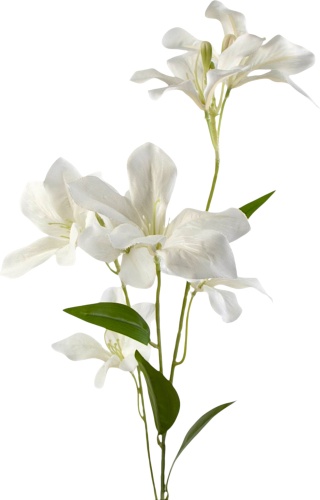 Фото 3