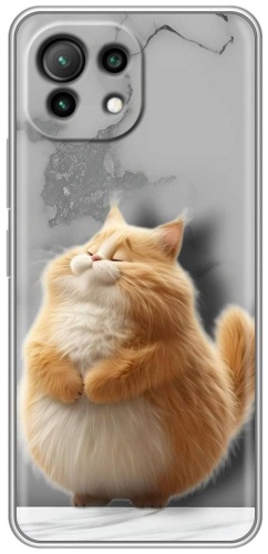 Чехол BAIKO для Xiaomi Mi 11 Lite рисунок