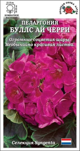 Фото 3