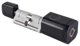 Электронный Zaun SL-01