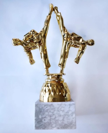 Golden Cup трофей Карате стойка даббл стандарт