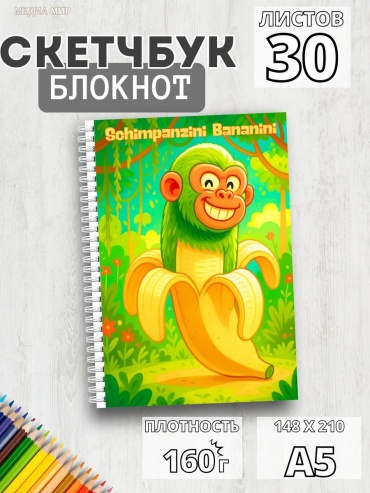 Записная книжка Медиа Мир 439223801, A5, 30 л, мультиколор