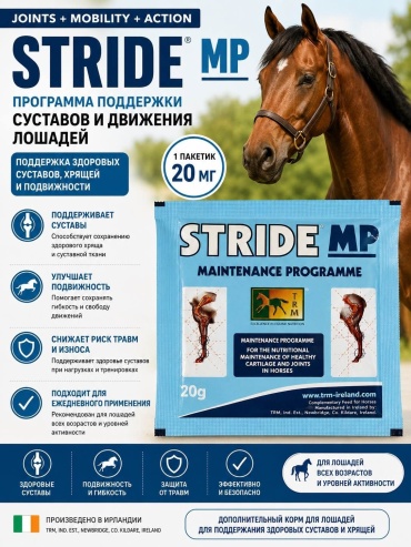 Stride Хандропротектор противовоспалительный 20 г