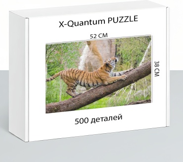 X-Quantum puzzle_z78k77c66b классический 500 деталей