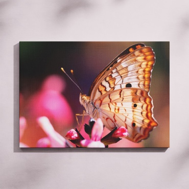 PEMIKAN CRAFT картина Бежевая бабочка на цветке 60x40 см