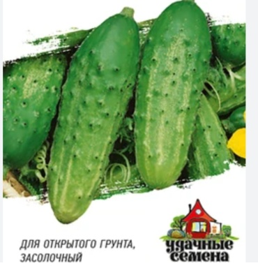 Удачные семена огурец Родничок