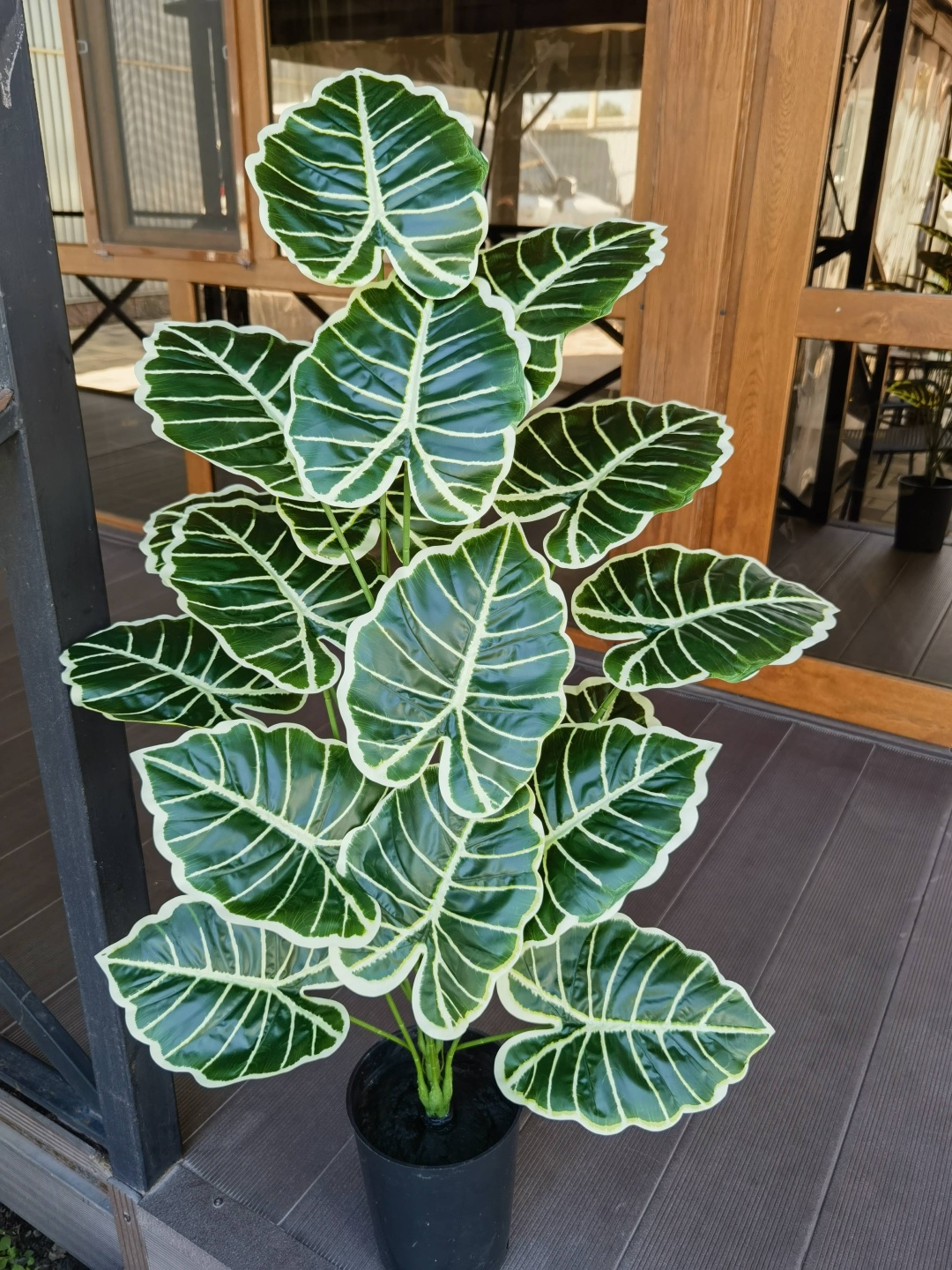 Фото 6