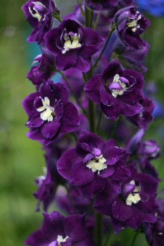 Фото 2