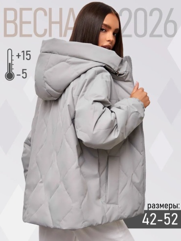 Демисезонная куртка серый