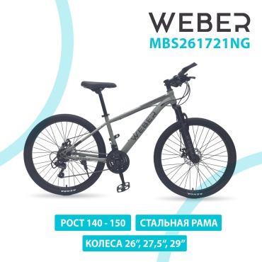 Велосипед Weber MBS261721NG 2025 17 дюймов серый