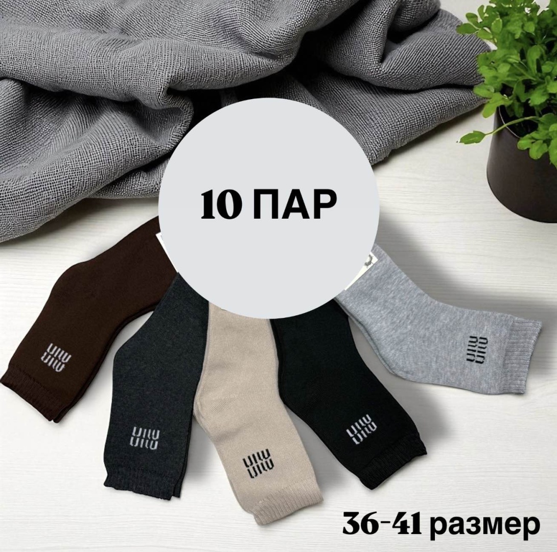 Носки SPEED WIN 10 пар мультиколор 36-41