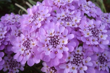Фото 2