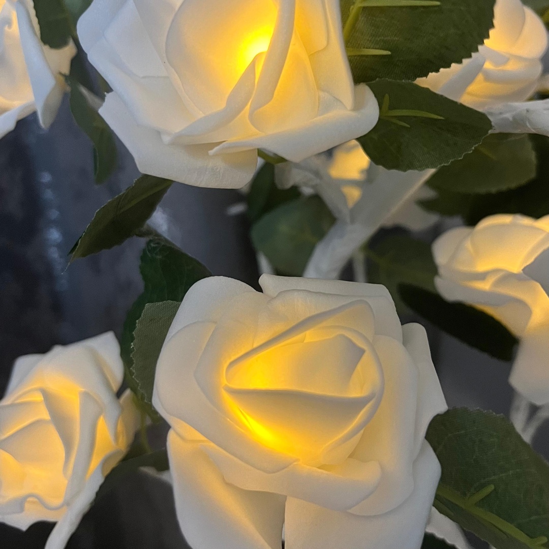 Фото 2