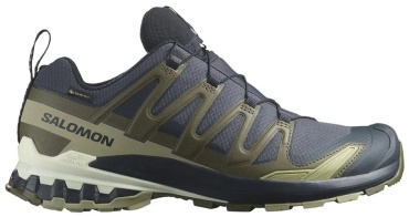 Кроссовки Salomon Xa Pro 3D V9 GTX зеленый, серый